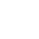 Apple icon